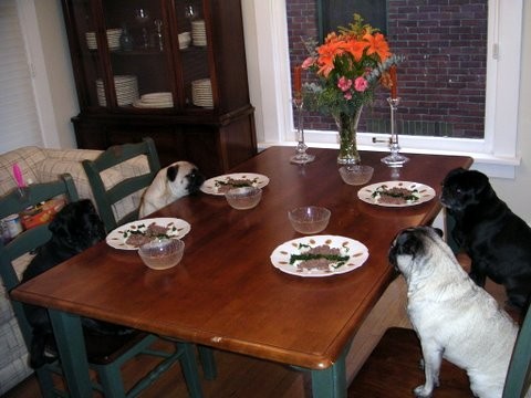 Dinner with the whole family: (clock-wise) Hunter, Egress, Ramona and Kippy